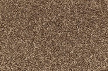 7f81 Vorwerk Teppich Passion 1001 Soft Frise 5meter Rolle