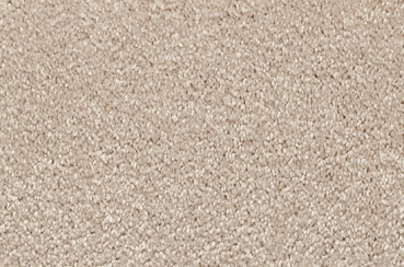 8h81 Vorwerk Teppich Passion 1001 Soft Frise 5meter Rolle