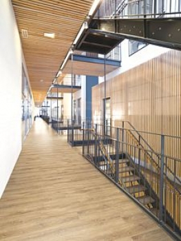 Boden4You 1944 Driftwood dark Treibholz dunkel Projectline Vinyl Design