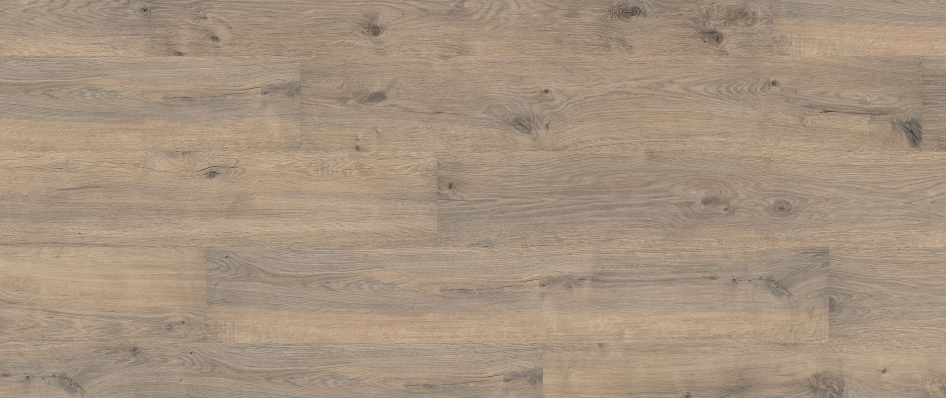 Teppich Meterware Vorwerk Passion Vinylboden Wineo Expona Planken