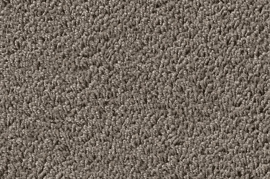5v25 Vorwerk Teppich Passion 1002 Velours Rollen Auslegware Bei